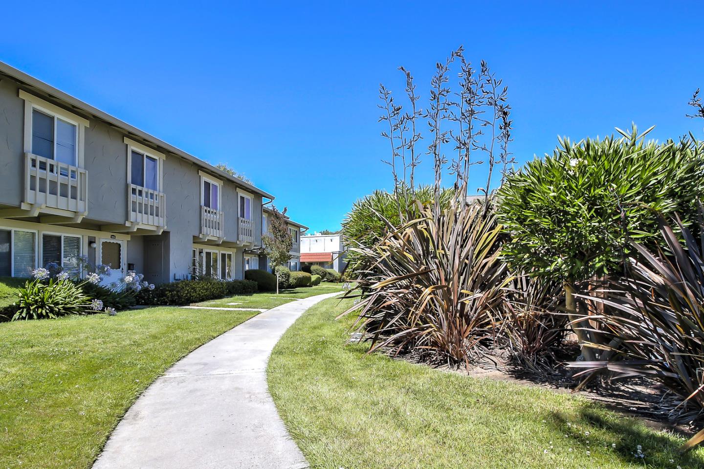36703 Matiz Cmn, Fremont